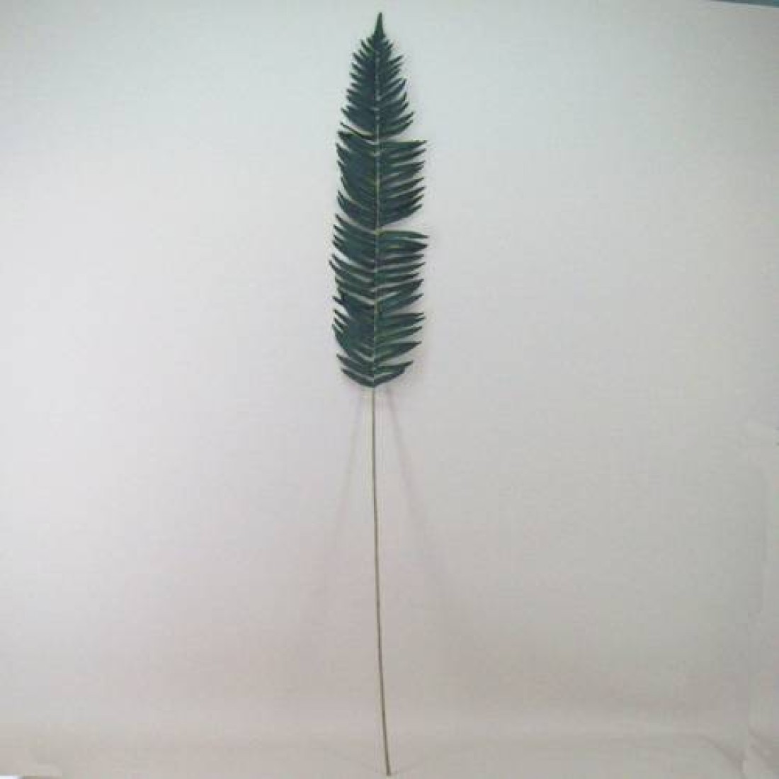 Artificial Fern Leaves Extra Large Artificial Ferns